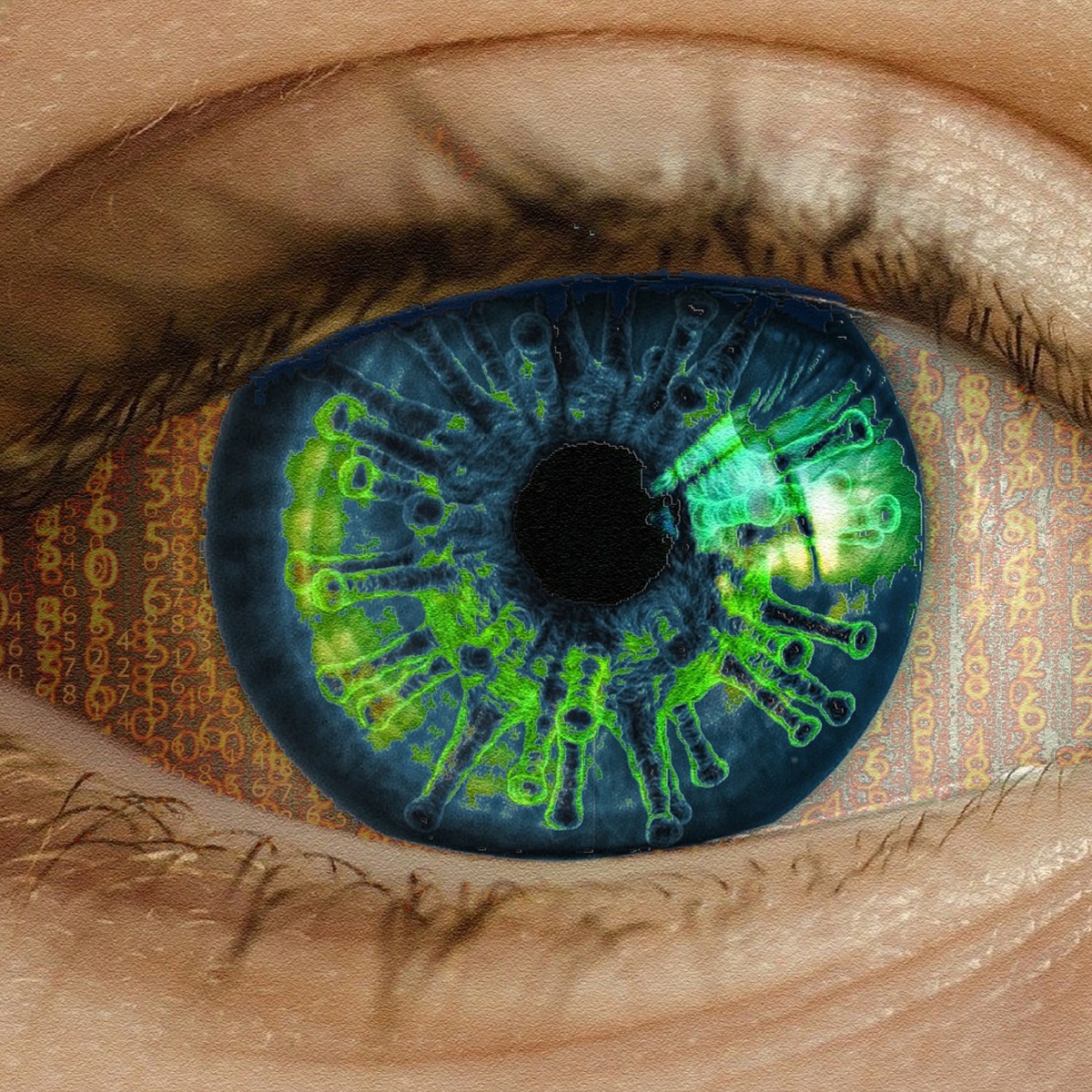 Multiple Ocular Disease Detection